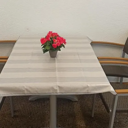 Siggis Und Anyas Mit Sauna Und Xxxl-dusche * Sasbachwalden